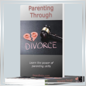 ebook parenting through divorce